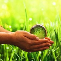 environmental-2021-08-31-21-12-47-utc.jpg environmental-2021-08-31-21-12-47-utc.jpg